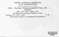 Puccinia polygoni-amphibii image